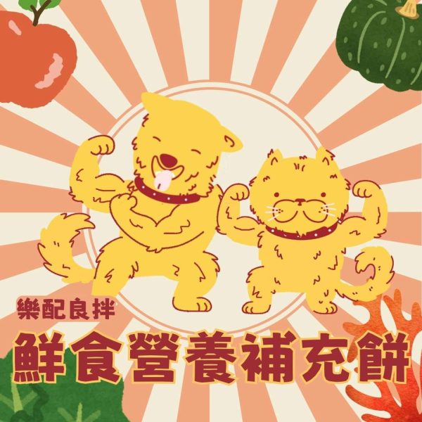 鮮食營養補充餅