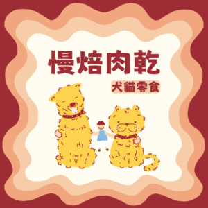 慢焙肉乾 肉乾零食